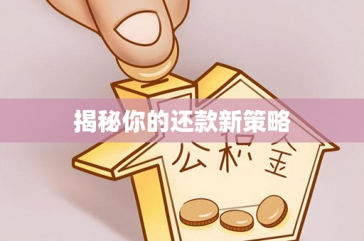 西乌旗揭秘你的还款新策略