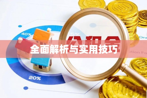 西乌旗全面解析与实用技巧