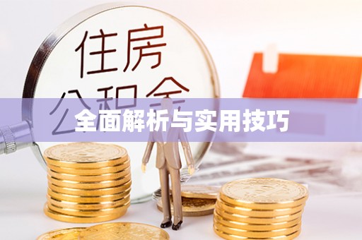 西乌旗全面解析与实用技巧