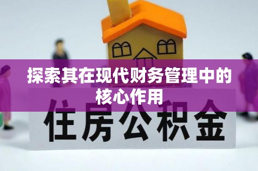 西乌旗探索其在现代财务管理中的核心作用