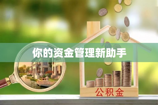 西乌旗你的资金管理新助手