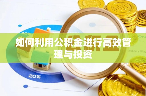 西乌旗如何利用公积金进行高效管理与投资